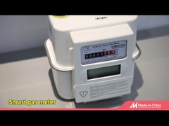 Интеллектуальный газовый счетчик IOT, связь LoRaWAN/Cat.1/RS485 с решениями AMI/AMR