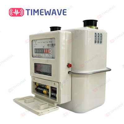 Wireless LoRaWAN Smart Gas Meter System Steel Shell For Energy Management